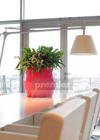 Planters for the office