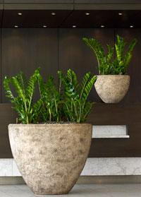 Planters for the office