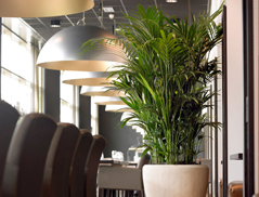 Statement Office Planters