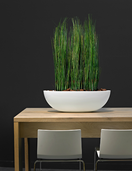 contemporary-table-plants