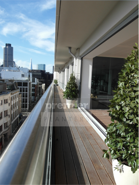 ec2-planting-transforms-an-otherwise-arid-terrace