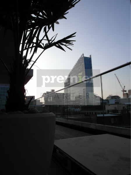 ec2-silhouette-of-palm-tree-on-london-terrace-at-dawn