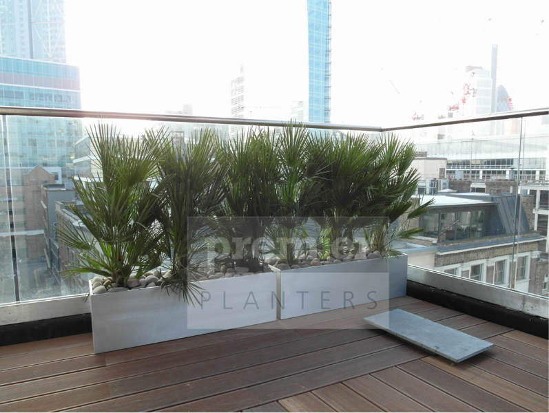 ec2-terrace-planting-used-to-screen-ugly-neighbouring-rooftops