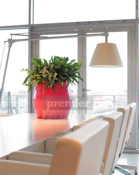 plants-for-meeting-rooms