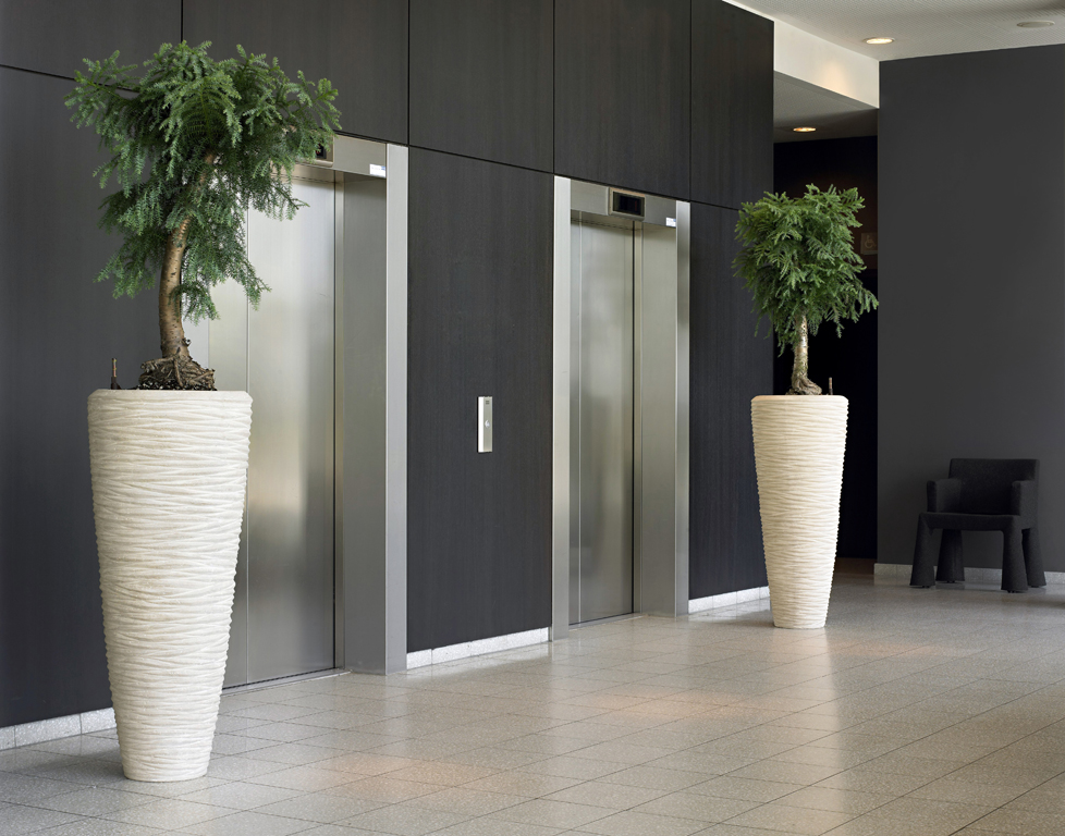 Lift Waiting area decorated with plants