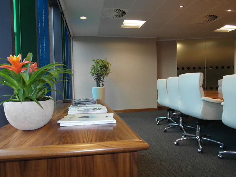 Eyecatching Office Area with Plants