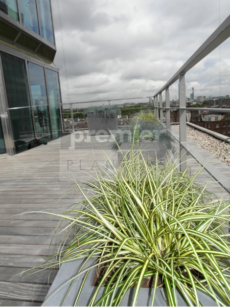 sw1-london-terrace-planting_seating