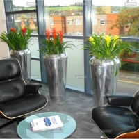 colourful-office-plants-in-polished-metal-pots_0