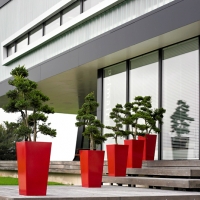 contemporary-exterior-plants