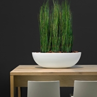 contemporary-table-plants