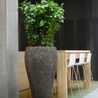 different-plant-pots