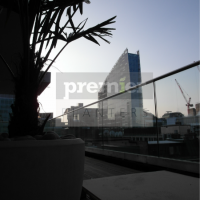 ec2-silhouette-of-palm-tree-on-london-terrace-at-dawn