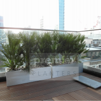 ec2-terrace-planting-used-to-screen-ugly-neighbouring-rooftops