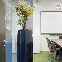 meeting-room-planting