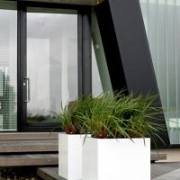 modern-exterior-plants