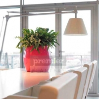 plants-for-meeting-rooms