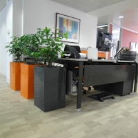 Brighten Up Your Reception Area With Plants