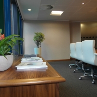 Eyecatching Office Area with Plants