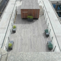 sw1-live-planting-on-london-terrace-decking