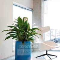 EC2A vibrant-plant-displays